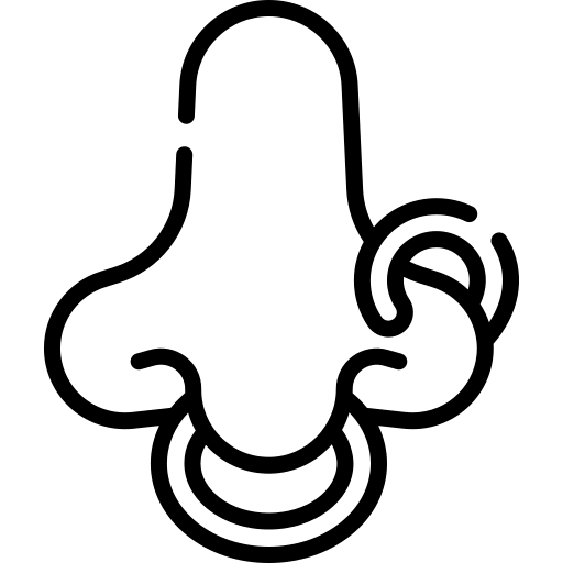 Nose Jewelry (Nose Pin & Nose Ring)